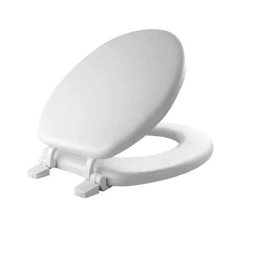 Mayfair Round Soft Close Toilet Seat and Lid & Reviews Wayfair